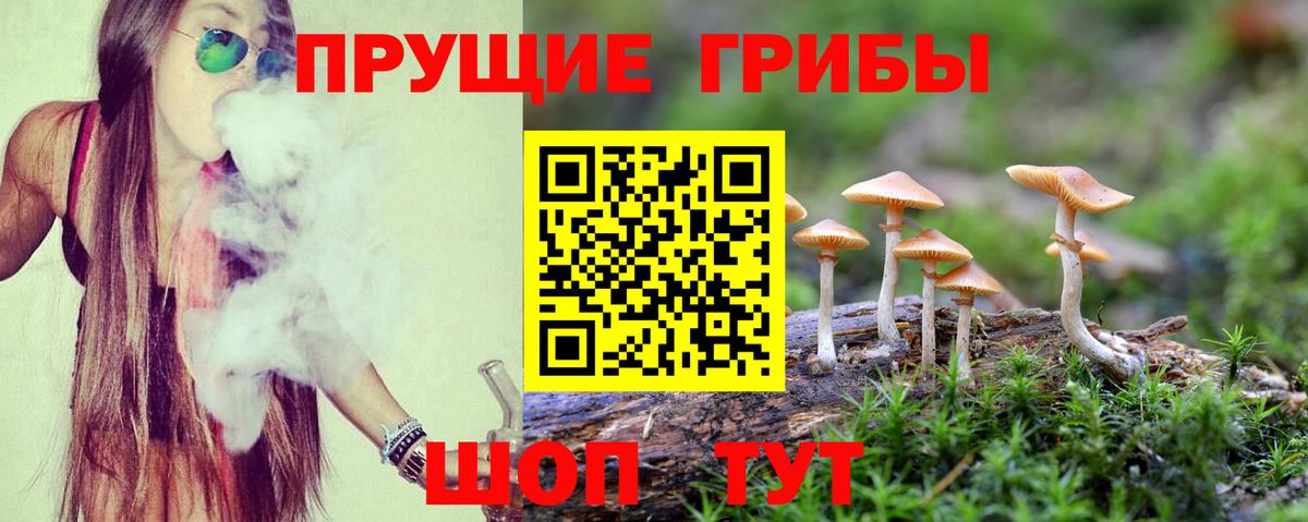 Галлюциногенные грибы Magic Shrooms Петрозаводск