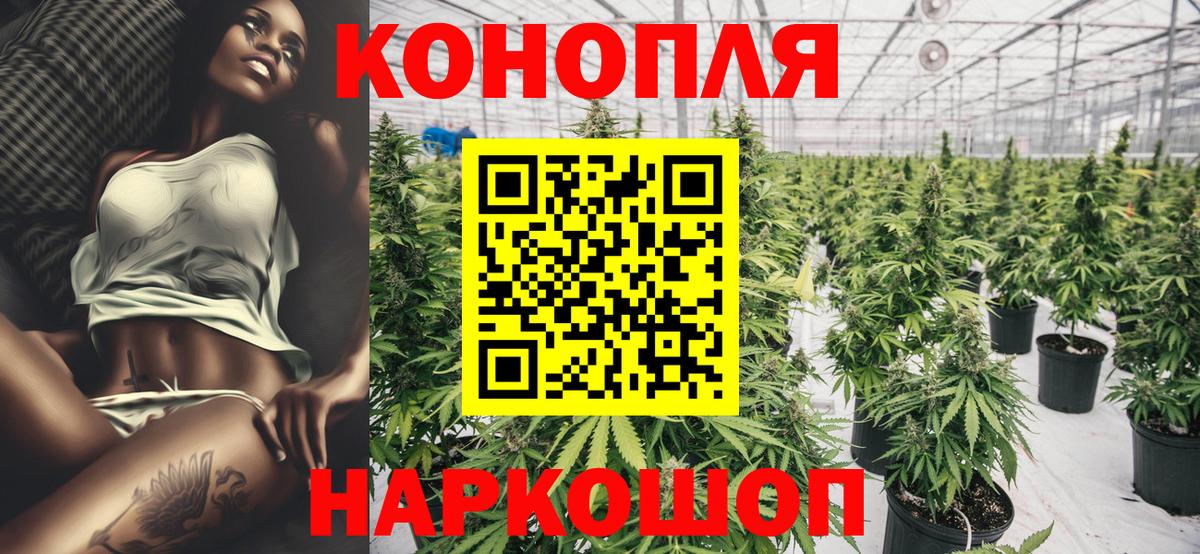 МАРИХУАНА ГИДРОПОН Петрозаводск